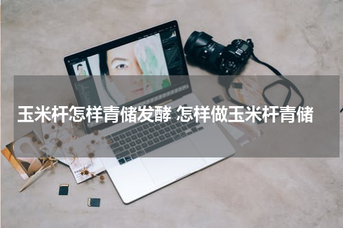 玉米杆怎样青储发酵 怎样做玉米杆青储