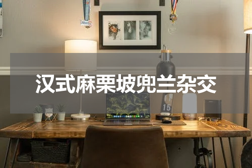 汉式麻栗坡兜兰杂交