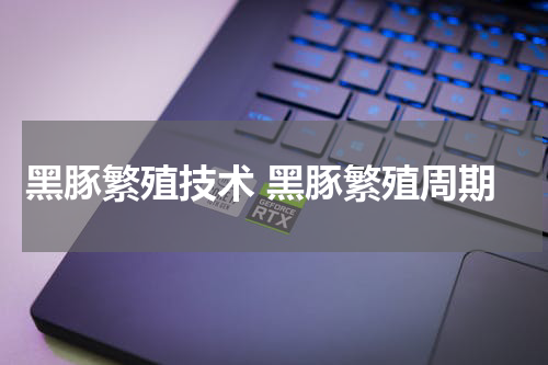 黑豚繁殖技术 黑豚繁殖周期