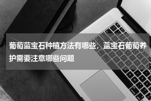 葡萄蓝宝石种植方法有哪些，蓝宝石葡萄养护需要注意哪些问题