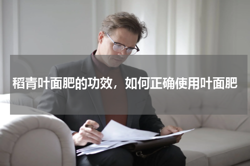 稻青叶面肥的功效，如何正确使用叶面肥