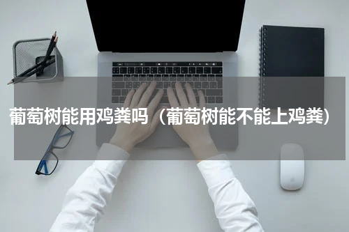 葡萄树能用鸡粪吗（葡萄树能不能上鸡粪）