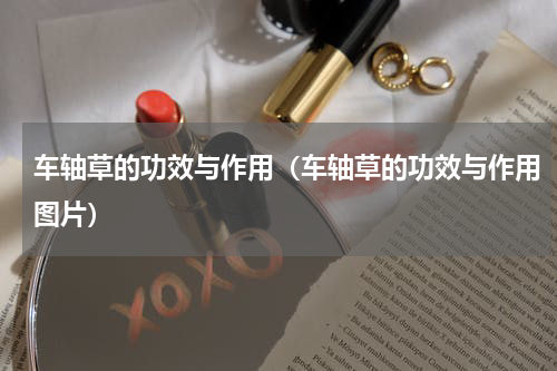 车轴草的功效与作用（车轴草的功效与作用图片）