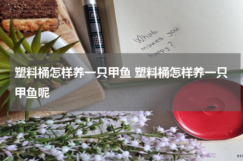 塑料桶怎样养一只甲鱼 塑料桶怎样养一只甲鱼呢