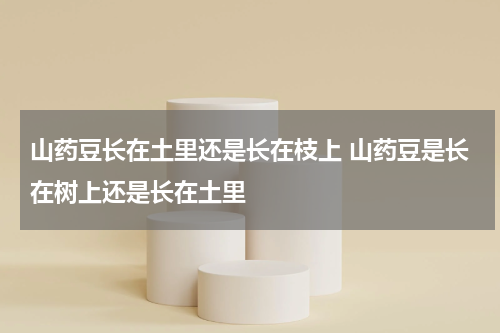 山药豆长在土里还是长在枝上 山药豆是长在树上还是长在土里