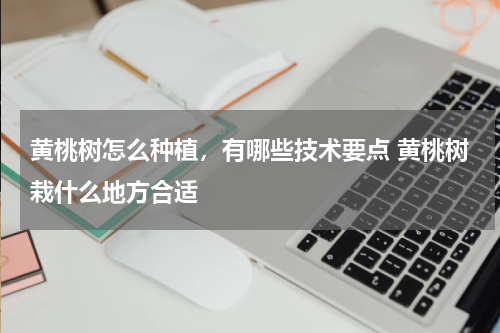 黄桃树怎么种植，有哪些技术要点 黄桃树栽什么地方合适