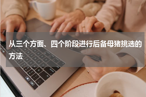 从三个方面、四个阶段进行后备母猪挑选的方法