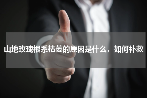 山地玫瑰根系枯萎的原因是什么，如何补救