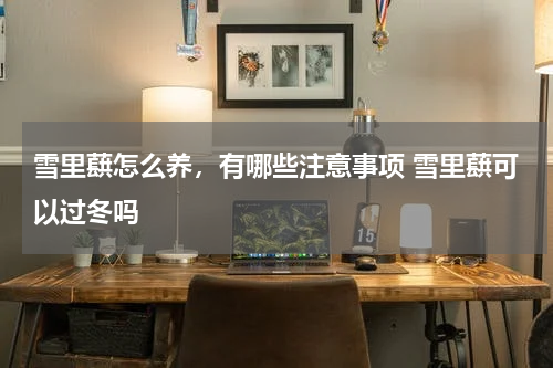 雪里蕻怎么养，有哪些注意事项 雪里蕻可以过冬吗