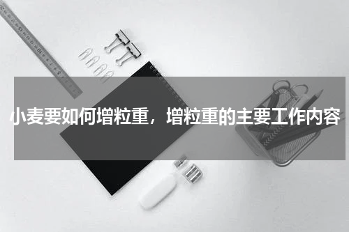 小麦要如何增粒重，增粒重的主要工作内容