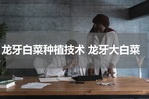 龙牙白菜种植技术 龙牙大白菜