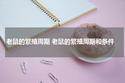 老鼠的繁殖周期 老鼠的繁殖周期和条件