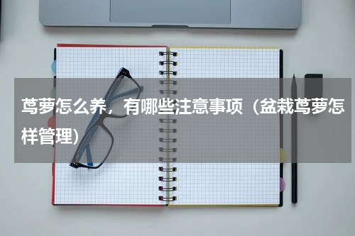 茑萝怎么养，有哪些注意事项（盆栽茑萝怎样管理）