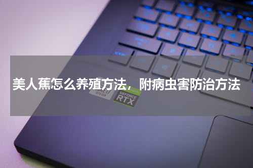 美人蕉怎么养殖方法，附病虫害防治方法