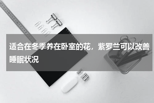 适合在冬季养在卧室的花，紫罗兰可以改善睡眠状况