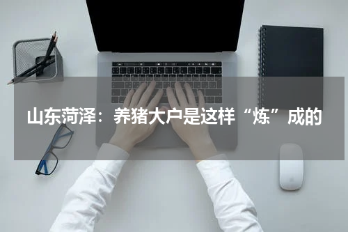 山东菏泽：养猪大户是这样“炼”成的
