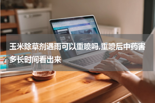 玉米除草剂遇雨可以重喷吗,重喷后中药害多长时间看出来
