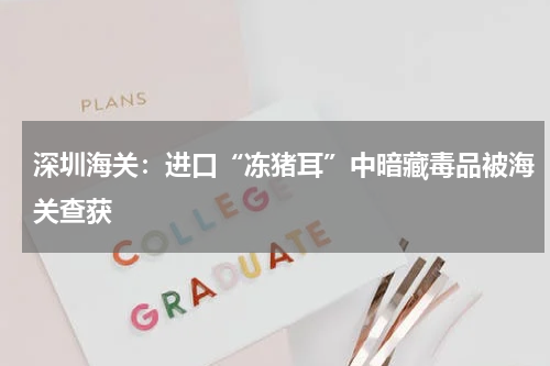 深圳海关：进口“冻猪耳”中暗藏毒品被海关查获