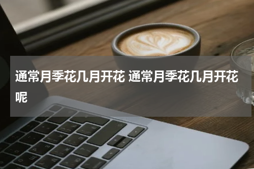 通常月季花几月开花 通常月季花几月开花呢