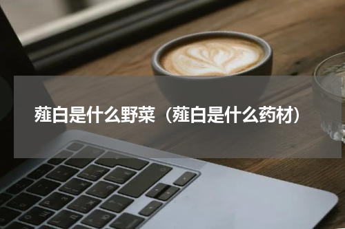 薤白是什么野菜（薤白是什么药材）