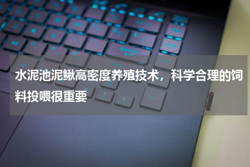 水泥池泥鳅高密度养殖技术，科学合理的饲料投喂很重要