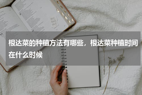根达菜的种植方法有哪些，根达菜种植时间在什么时候