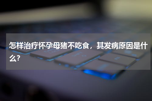 怎样治疗怀孕母猪不吃食，其发病原因是什么？