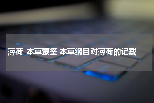薄荷_本草蒙筌 本草纲目对薄荷的记载