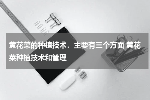 黄花菜的种植技术，主要有三个方面 黄花菜种植技术和管理