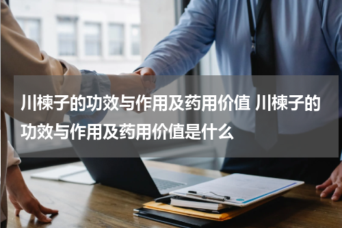 川楝子的功效与作用及药用价值 川楝子的功效与作用及药用价值是什么