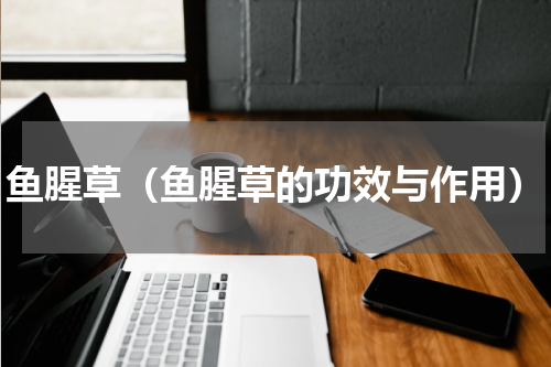 鱼腥草（鱼腥草的功效与作用）