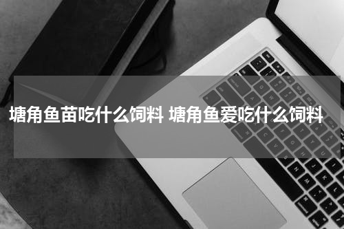 塘角鱼苗吃什么饲料 塘角鱼爱吃什么饲料
