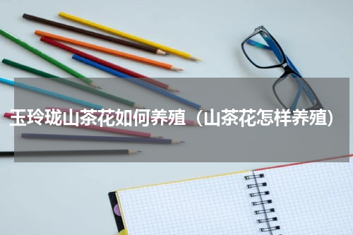 玉玲珑山茶花如何养殖（山茶花怎样养殖）