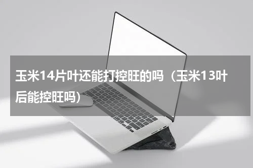 玉米14片叶还能打控旺的吗（玉米13叶后能控旺吗）