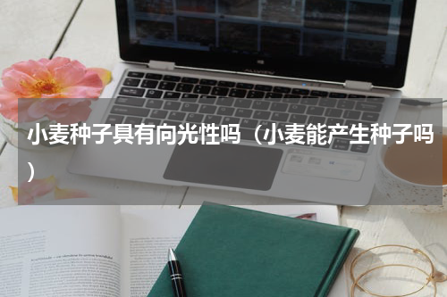小麦种子具有向光性吗（小麦能产生种子吗）