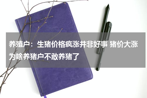 养殖户：生猪价格疯涨并非好事 猪价大涨为啥养猪户不敢养猪了