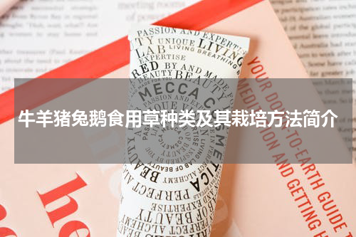 牛羊猪兔鹅食用草种类及其栽培方法简介