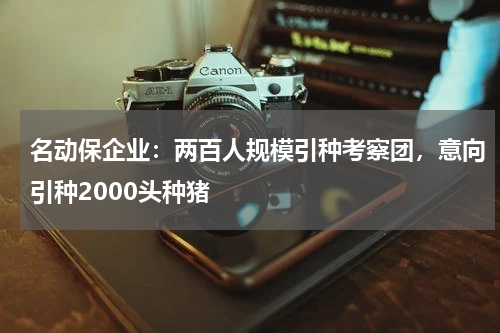 名动保企业：两百人规模引种考察团，意向引种2000头种猪