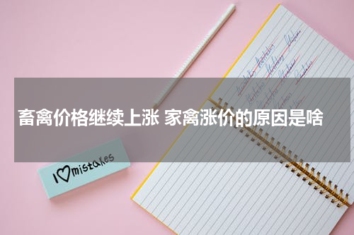 畜禽价格继续上涨 家禽涨价的原因是啥