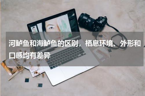 河鲈鱼和海鲈鱼的区别，栖息环境、外形和口感均有差异