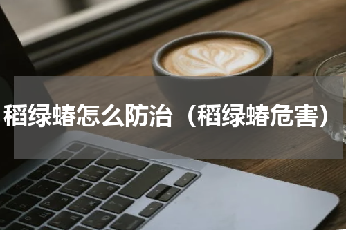 稻绿蝽怎么防治（稻绿蝽危害）
