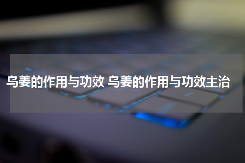 乌姜的作用与功效 乌姜的作用与功效主治