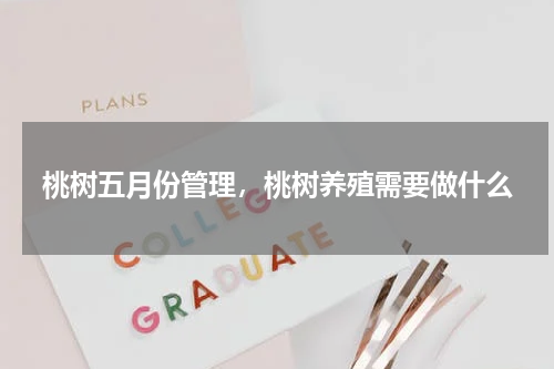 桃树五月份管理，桃树养殖需要做什么