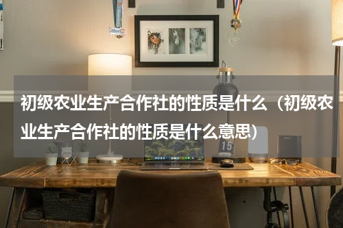 初级农业生产合作社的性质是什么（初级农业生产合作社的性质是什么意思）