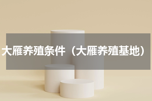 大雁养殖条件（大雁养殖基地）