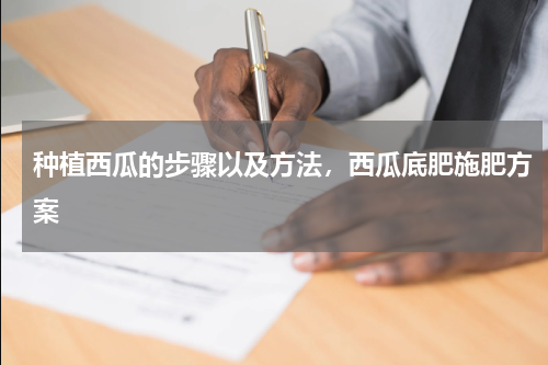 种植西瓜的步骤以及方法，西瓜底肥施肥方案