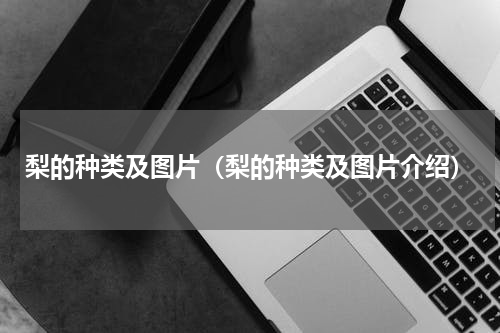 梨的种类及图片（梨的种类及图片介绍）