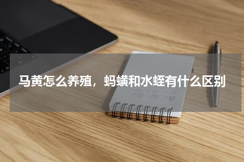 马黄怎么养殖，蚂蟥和水蛭有什么区别