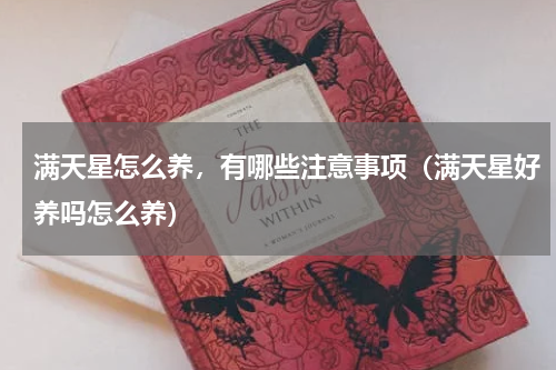 满天星怎么养，有哪些注意事项（满天星好养吗怎么养）
