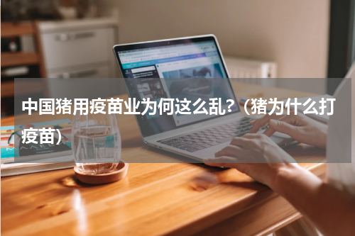 中国猪用疫苗业为何这么乱?（猪为什么打疫苗）